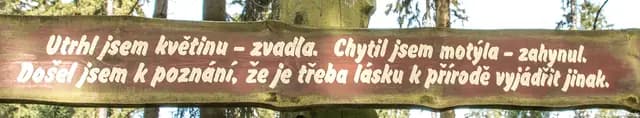 Detail a zátiší
