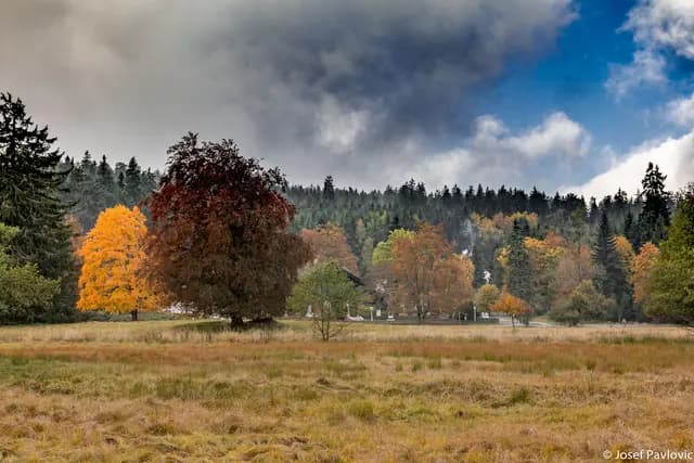 Krajina a příroda
