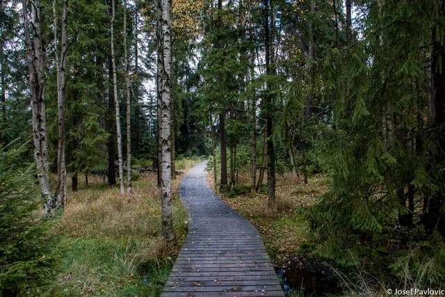 Krajina a příroda