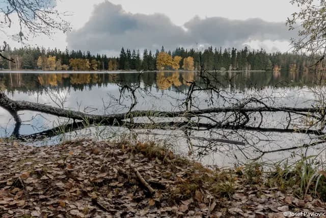 Krajina a příroda