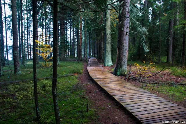 Krajina a příroda
